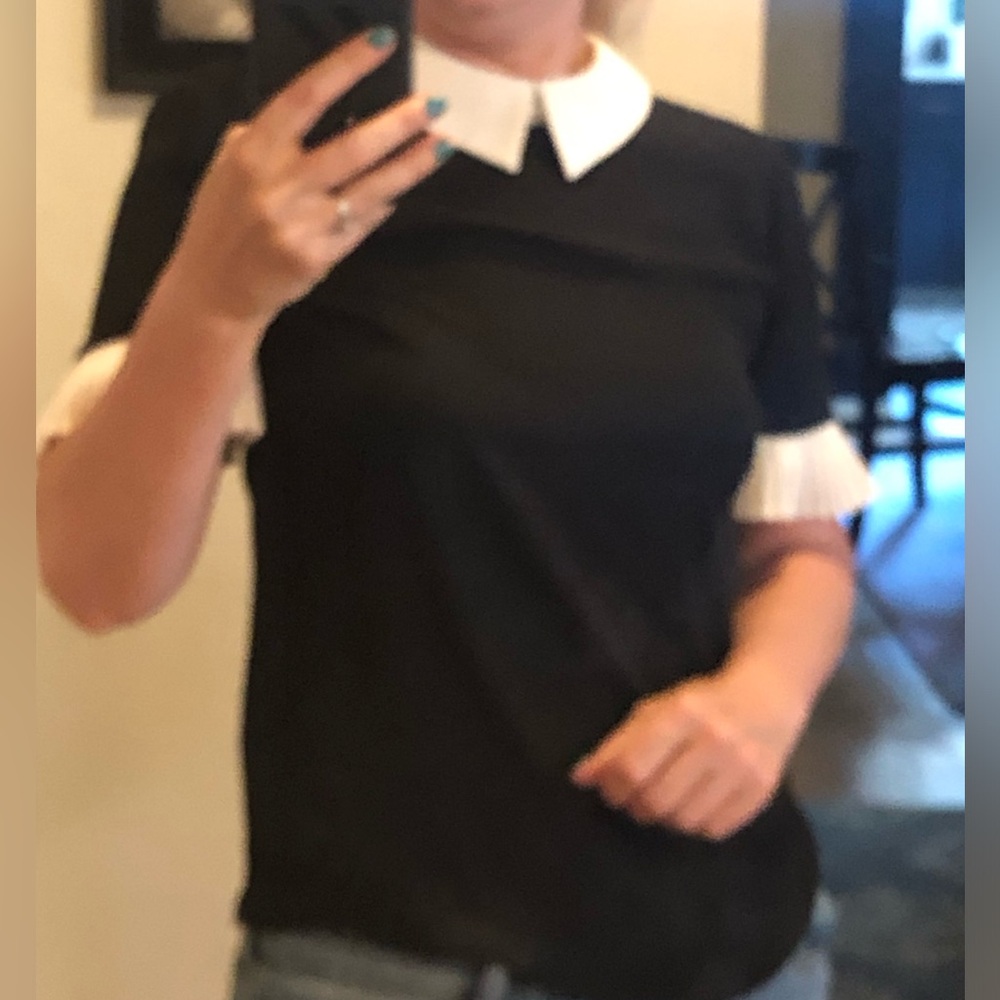 CeCe Black Fitted Blouse with Peter Pan Collar